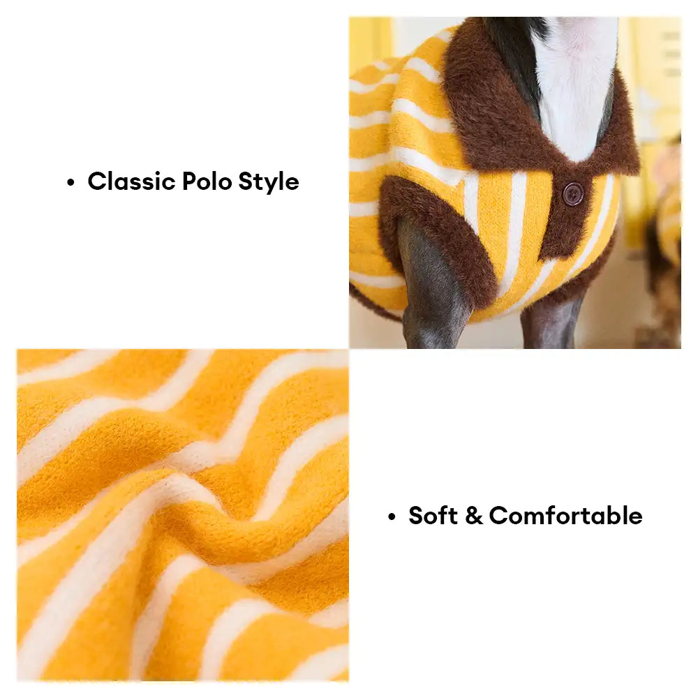 Color Blocked Striped Dachshund Polo Collar Dog Sweater