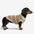Diamond Striped Dachshund Dog Sweater