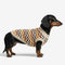Diamond Striped Dachshund Dog Sweater