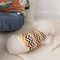 Diamond Striped Dachshund Dog Sweater
