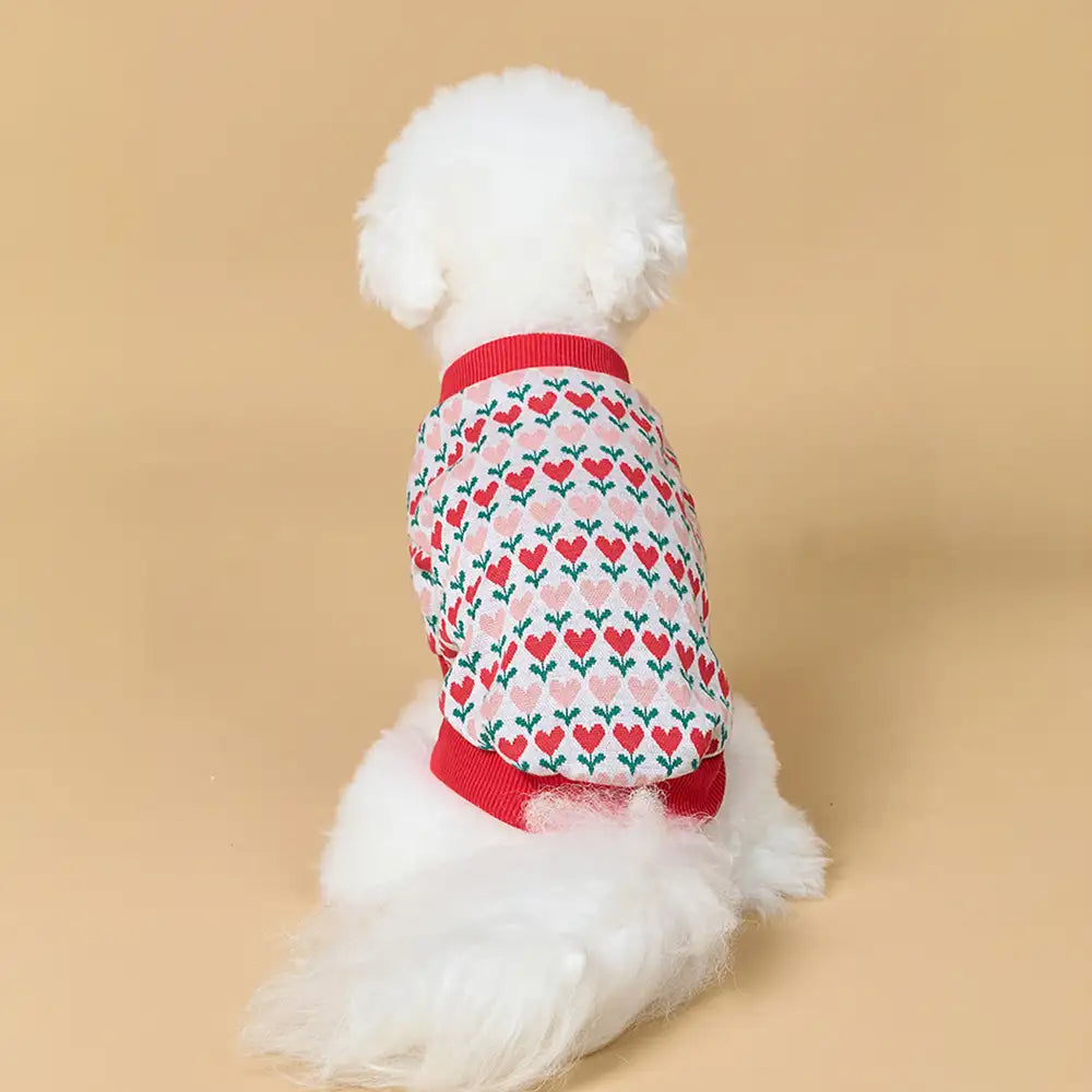 Fair Isle Heart Patterned Dachshund Cardigan Dog Sweater