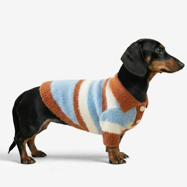 Faux Wool Color-Block Dog Sweater with Striped Collar for Small Dogs