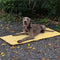 Tapis de siège de voiture portable et pliable pour chien, tapis de camping pour chien
