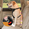 Gradient Elastic Shock-Absorbing Pet Car Safety Belt