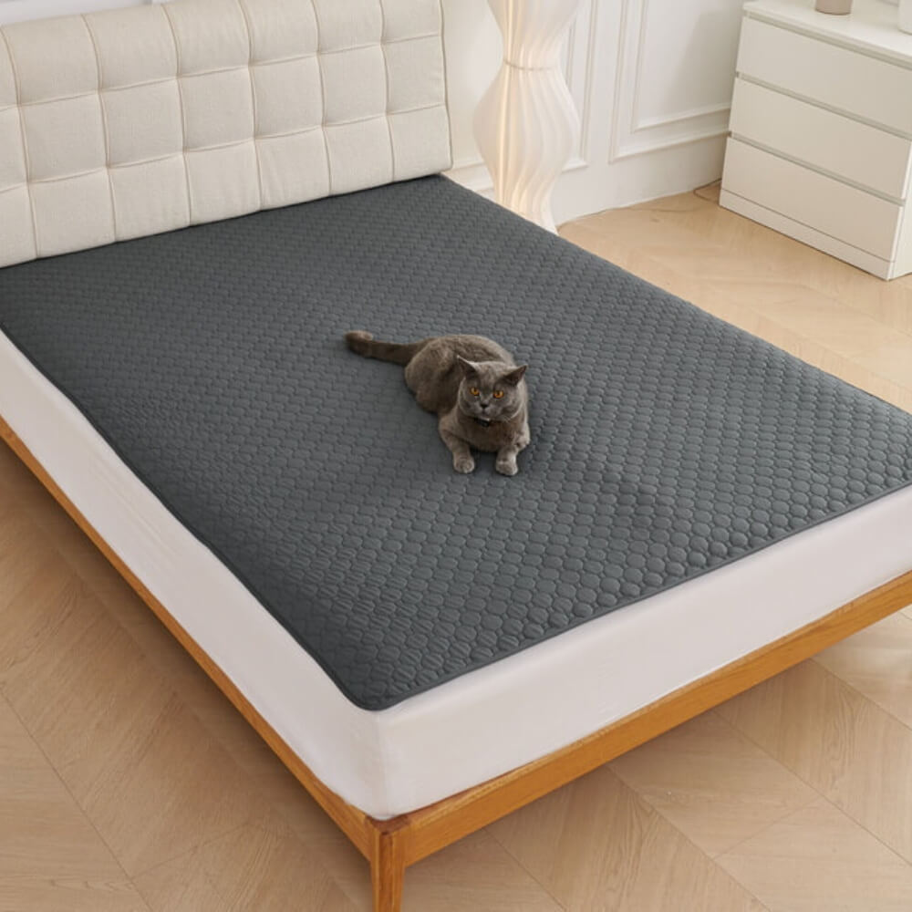 Alfombra de mascotas a prueba de fugas absorbente multipropósito para el sofá y la cama