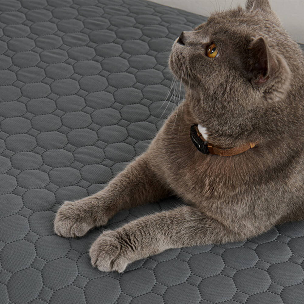 Alfombra de mascotas a prueba de fugas absorbente multipropósito para el sofá y la cama