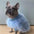 Soft Fluffy Fashion Luxurious Dog Turtleneck Knit Sweater