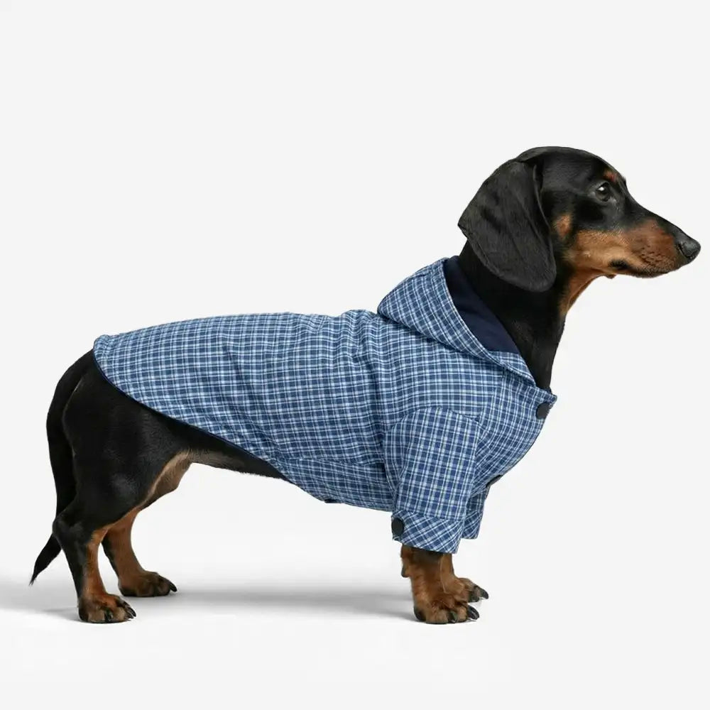 Stylish Dual-Sided Reversible Wear Windproof Outdoor Dog Jacket