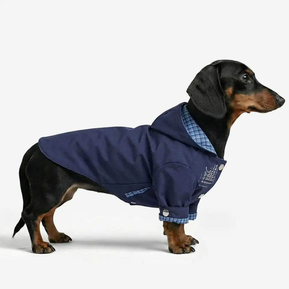 Stylish Dual-Sided Reversible Wear Windproof Outdoor Dog Jacket