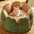 Cactus Shape Comfy Pet Bed - FUNNYFUZZY