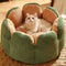 Cactus Shape Comfy Pet Bed - FUNNYFUZZY
