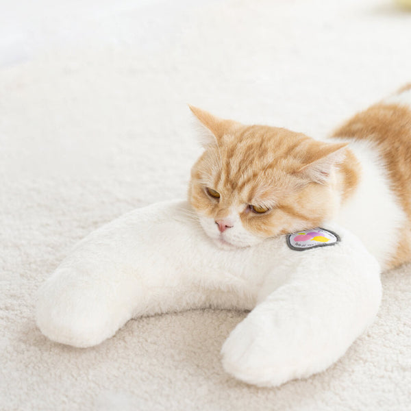 Oreiller confortable et mignon pour animaux de compagnie