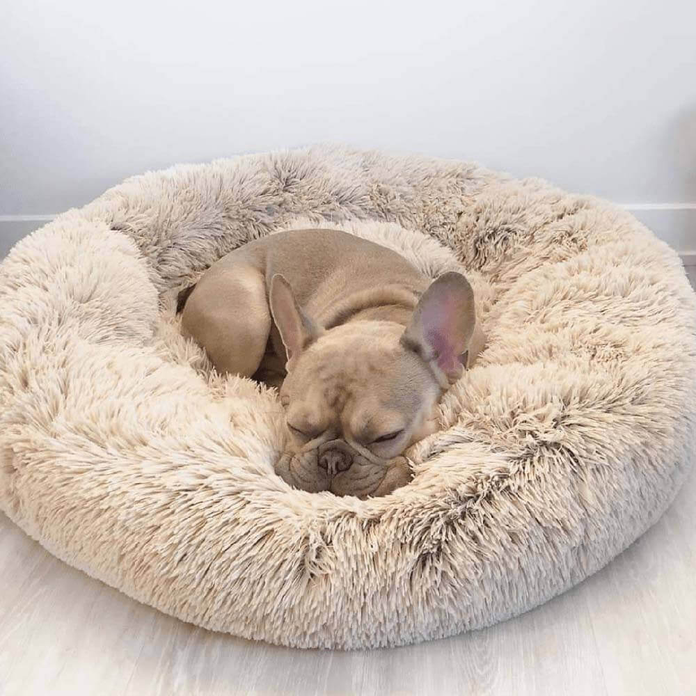 Fuzzy Round Fluffy Dog Bed - FUNNYFUZZY