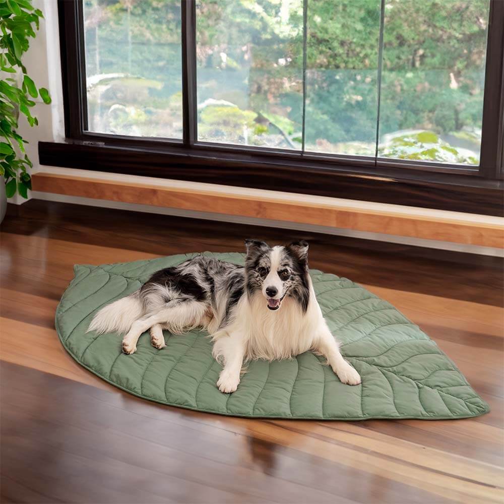 Super Large Leaf Shape Human Mat Dog Blanket - FUNNYFUZZY