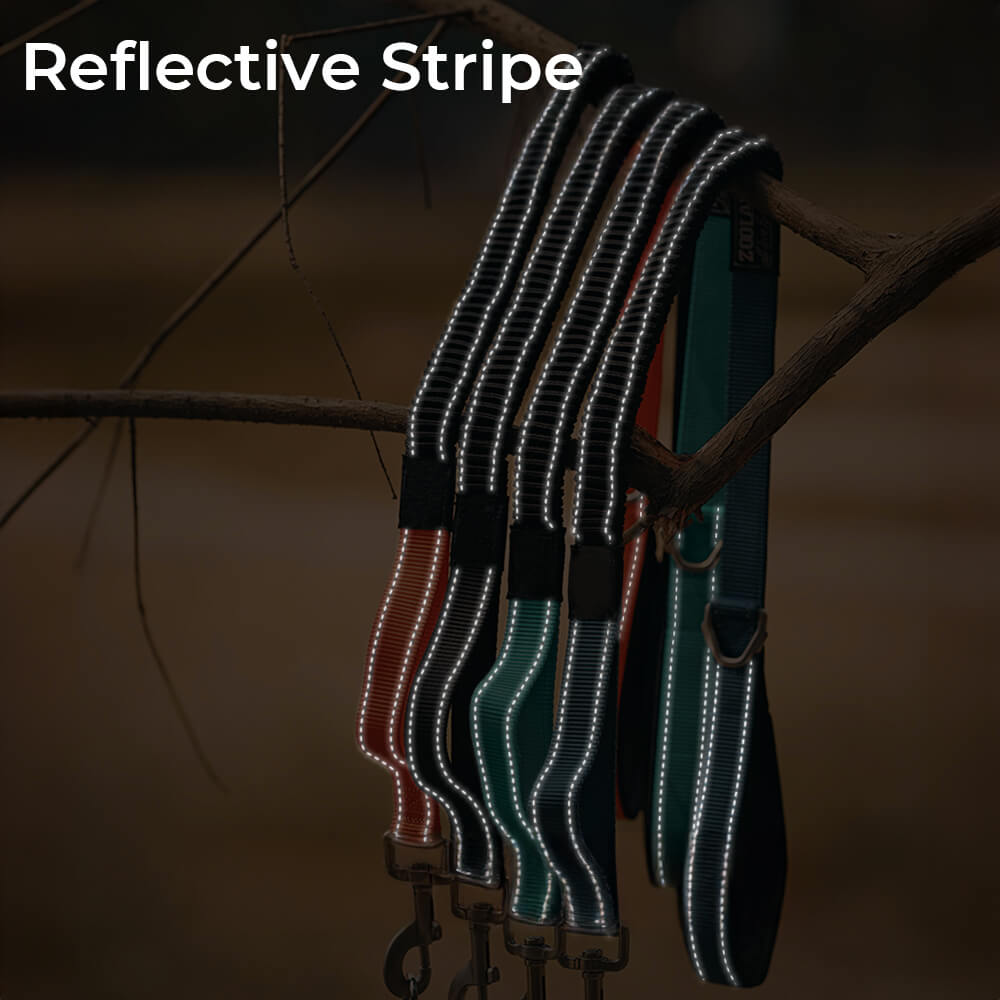 Collar y correa de perros anti-pull reflectantes multifuncionales