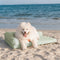 Large Cooling Breathable Non-Slip Orthopedic Dog Bed