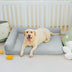 Large Cooling Breathable Non-Slip Orthopedic Dog Bed