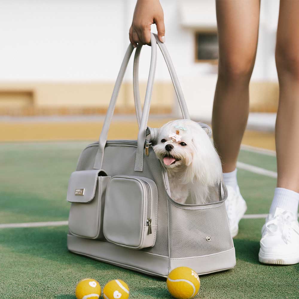 Lightweight Breathable Mesh Safe Pet Carrier - Urban Ease