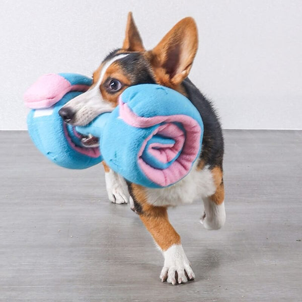 Puzzle Food Dispenser Interactive Dumbbell Treat juguete