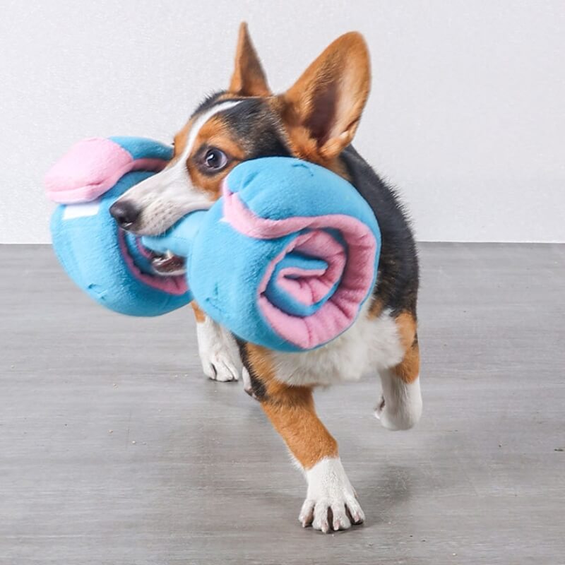 Puzzle Food Dispenser Interactive Dumbbell Treat juguete