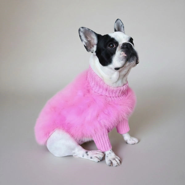 Pull en tricot à col roulé pour chien, doux et moelleux, à la mode, luxueux