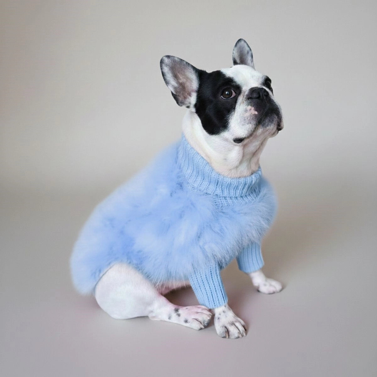 Pull en tricot à col roulé pour chien, doux et moelleux, à la mode, luxueux