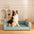 Ultimate Lounger Full Support Comfortable Orthopedic Dog Sofa Bed