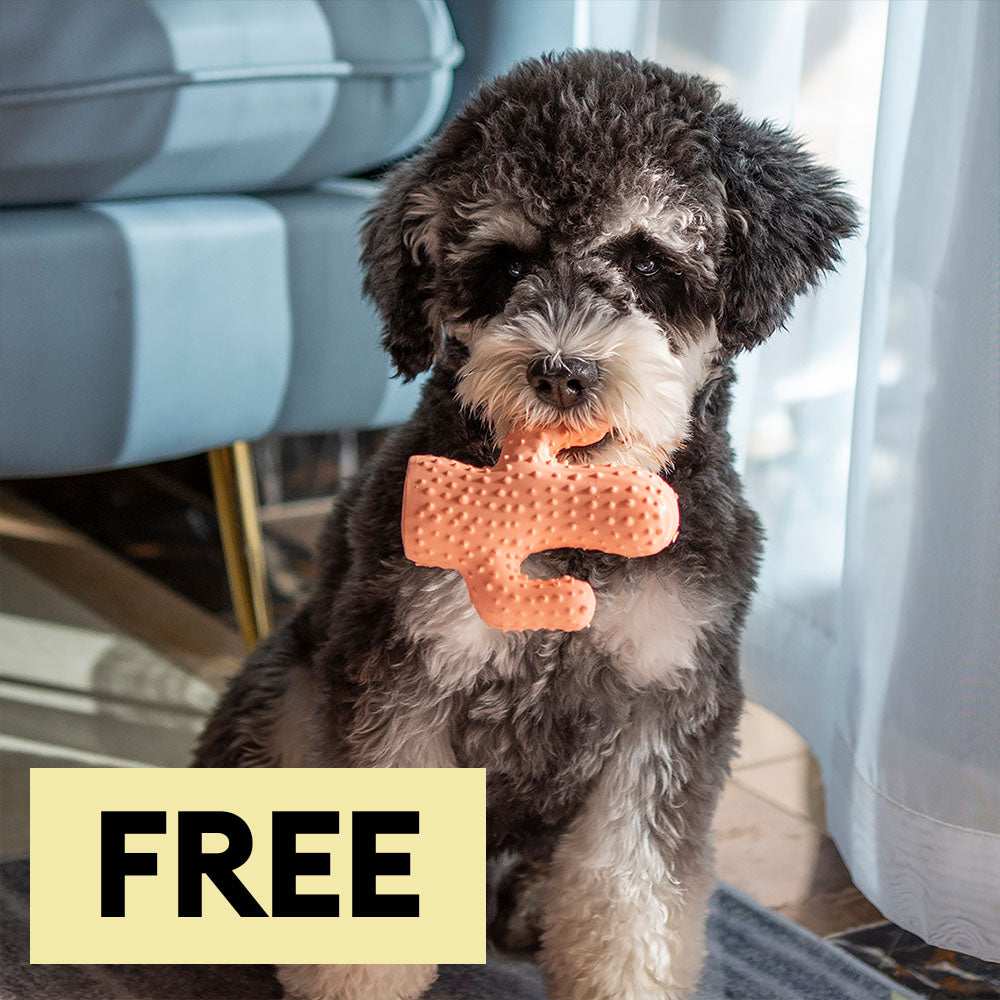 Juguetes para perros chillidos en forma de cactus