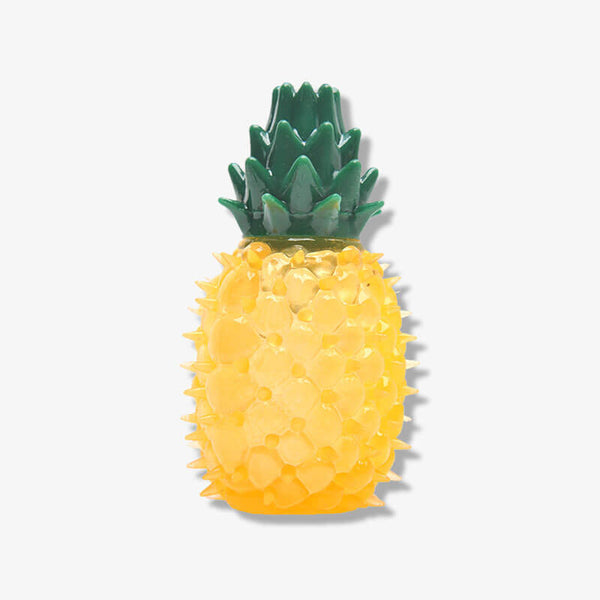 Toy de perro de fruta congelada llena de agua de goma de goma