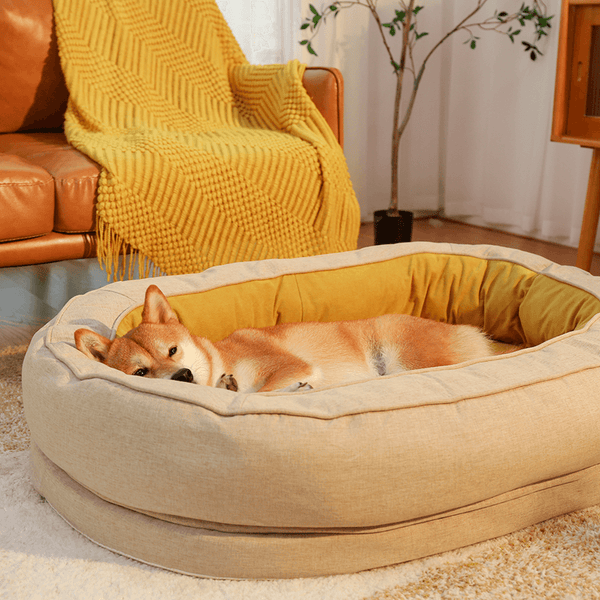 Donut Orthopedic Dog Bed - FUNNYFUZZY