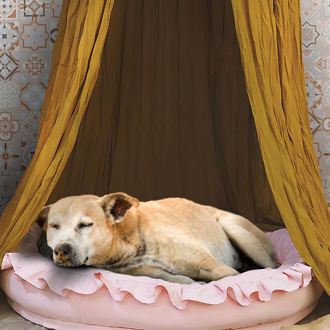 Stylish Soft Cozy Dog Tent  Dog Teepee - FUNNYFUZZY