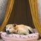 Stylish Soft Cozy Dog Tent  Dog Teepee - FUNNYFUZZY