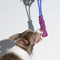 Braided Rope Stick Tug Dog Toy - Color Clash - FUNNYFUZZY