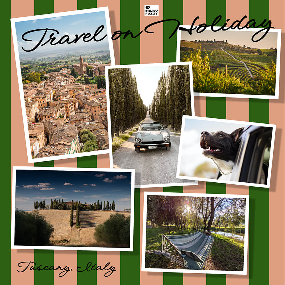 Dog Car Seat Cover- Holiday - FUNNYFUZZY