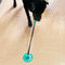 Suction Cup Dog Toy - Mango - FUNNYFUZZY