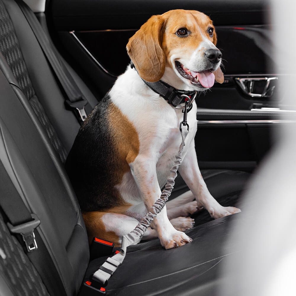 Car Seat Belt Buffer Adjustable Cool Dog Accessories - FUNNYFUZZY