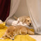 Leaf Shape Dog Blanket With Donut Dog Bed Luxury Dog Gifts - FUNNYFUZZY