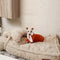 Warming Fluffy Bone Cloud Shape Calming Dog Bed - FUNNYFUZZY