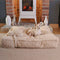 Warming Fluffy Bone Cloud Shape Calming Dog Bed - FUNNYFUZZY
