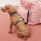 Waterproof Dog Car Seat Bed - First Class - FUNNYFUZZY