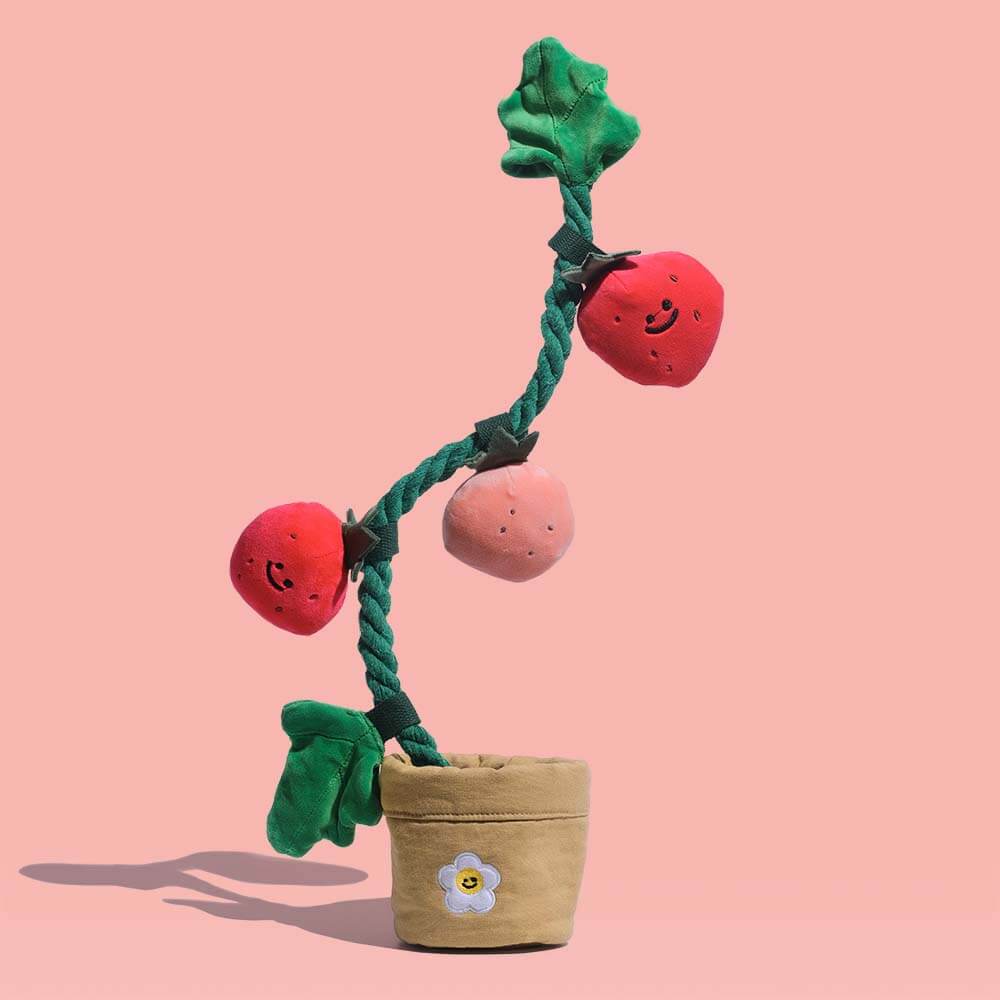 Plush Squeaky Dog Toy - Strawberry Potted - FUNNYFUZZY