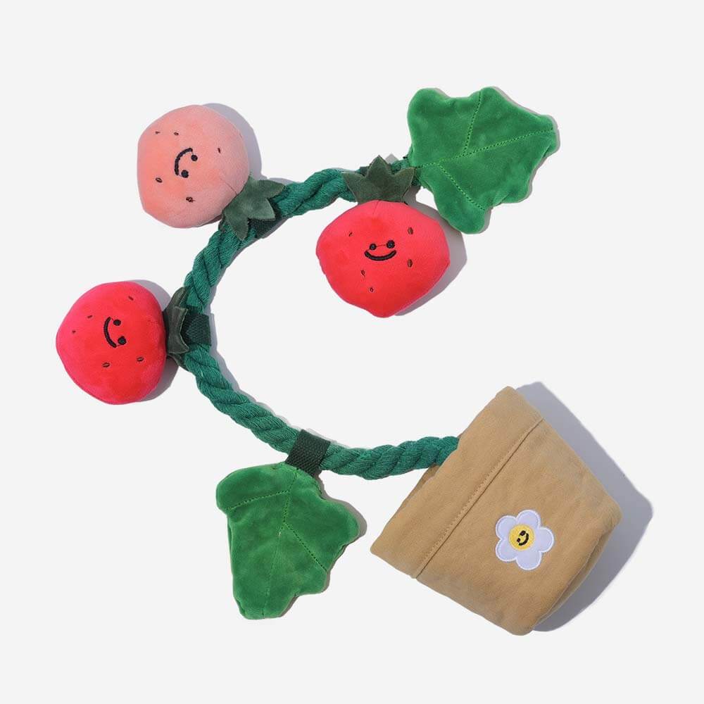 Plush Squeaky Dog Toy - Strawberry Potted - FUNNYFUZZY