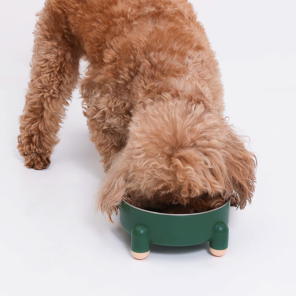 Dog Bowl - Tetrapod - FUNNYFUZZY