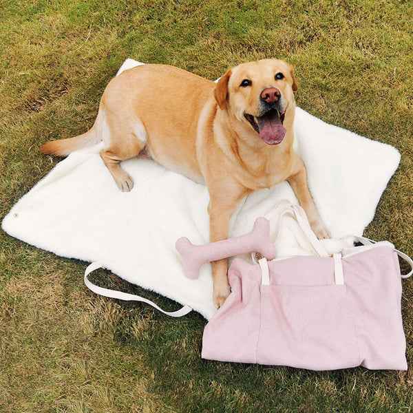 Portable Dog Mat - FUNNYFUZZY