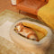 Dog Bed - Donut - FUNNYFUZZY