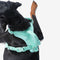 Gummy Cool Dog Accessories Walk Set - FUNNYFUZZY