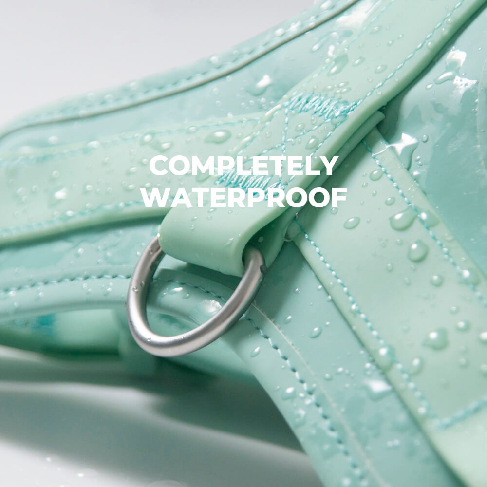 Gummy Cool Dog Accessories Walk Set - FUNNYFUZZY