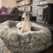 Luxury Super Large Sleep Deeper Oval Bed Human Dog Bed - FUNNYFUZZY