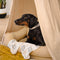 Stylish Soft Cozy Dog Tent  Dog Teepee - FUNNYFUZZY